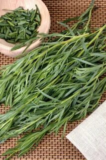 تصویر 5 از خرید و قیمت سبزی ترخون خشک + فروش عمده